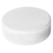 1050-hockey-puck-ice-training-white.jpg.jpg