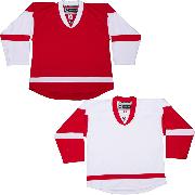 1050-tron-hockey-jersey-dj300-nhl-detroit-red-wings.jpg