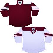 1050-tron-hockey-jersey-dj300-nhl-phoenix-coyotes.jpg
