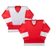 _0006_Detroit Red Wings.jpg