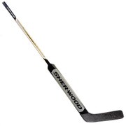 fc800 stick.jpg